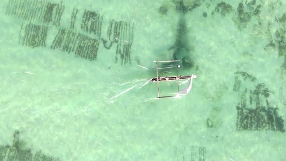 Vertical Video Boats in the Ocean Near the Coast of Zanzibar Tanzania Aerial View