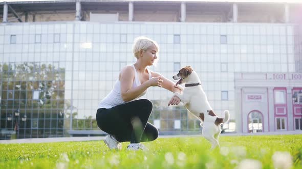 Young Woman Training Little Cute Jack Russel Terrier in Park Slow Motion