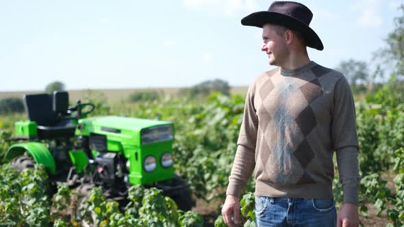 Winemaker in the Field During the Harvest Season in the Vineyard