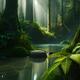 Hazy Rainforest