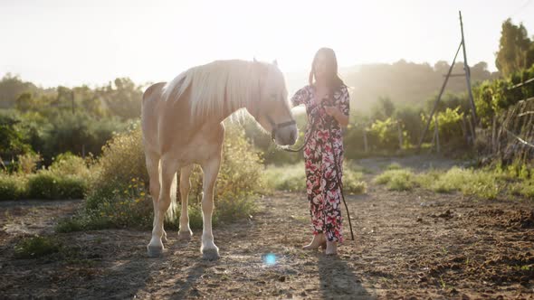 Girl In Flowered Dress Plays with Horse