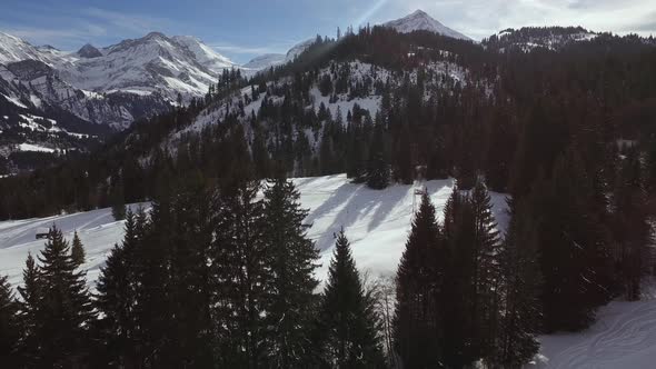 High angle of trees and mountains 