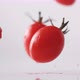Cherry tomatos falling. Slow Motion. - VideoHive Item for Sale