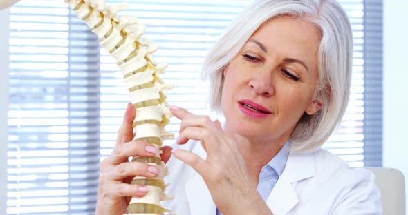 Portrait of female doctor holding spine model