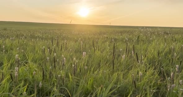 Hill Meadow Timelapse at the Summer or Autumn Time. Wild Endless Nature and Rural Field. Sun Rays