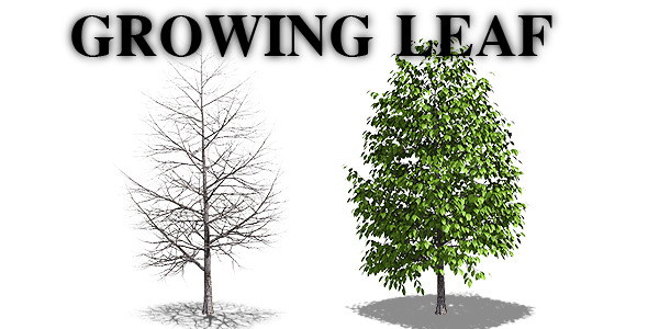 Growing Leaf  alt