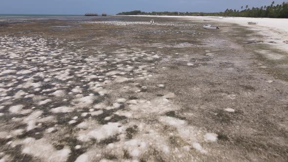 Low Tide in the Ocean Near the Coast of Zanzibar Tanzania Slow Motion