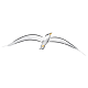 Seagull