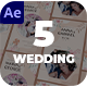 Wedding Invitation Instagram Stories 5 in 1 - VideoHive Item for Sale