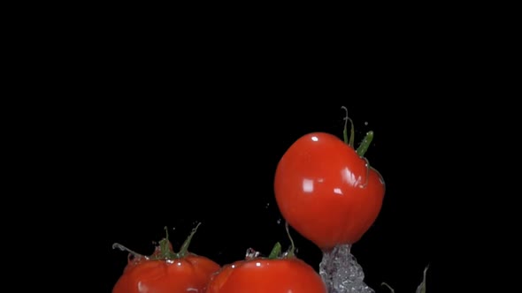 Small Delicious Cherry Tomatoes are Bouncing Up on the Black Background