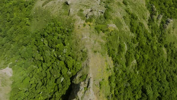 Rocky ruins of the Azeula Fortress and a wild, vibrant forest around it.