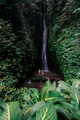 Young couple tourism enjoying the Leke Leke waterfall at Bali in Indonesia - PhotoDune Item for Sale