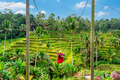 Young female tourist in red dress enjoying the Bali swing at tegalalang rice terrace in Bali - PhotoDune Item for Sale