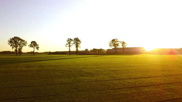 Aerial Cinematic Clip Drone Flying Over a Farm Field During Sunset