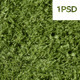 Seamless Grass Texture & Pattern - 3DOcean Item for Sale