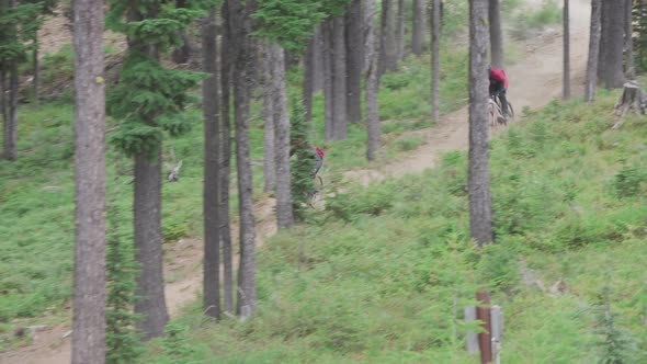 Mountain Bikers- Riding through the forest