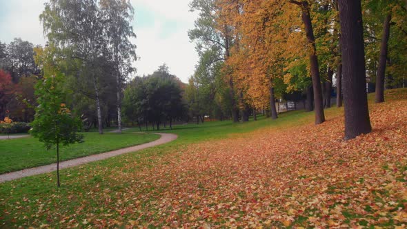 The Beauty of an Autumn Park in St