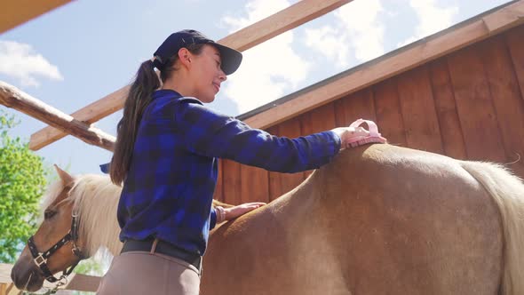 Young Girl Brushing Off Dust From Her Beautiful Brown Horse With Blond Mane