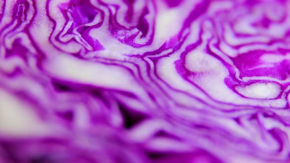 Macro Shot of Slice Red Cabbage Texture Background