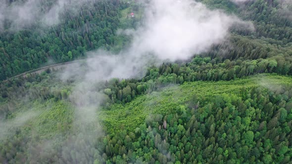 Nature. Fog over the forest in the mountain valley. View from the air. Summer landscape