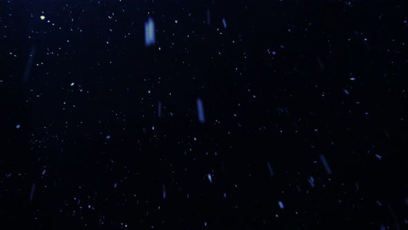 Snowflakes Falling At The Winter Night Background