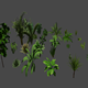 Plants Pack - 3DOcean Item for Sale
