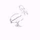 Pelican Walking — Charcoal Sketch - VideoHive Item for Sale