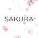 Sakura Blossom Logo Reveal - VideoHive Item for Sale