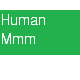 Human Mmm