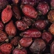 Dried rose hips berries close up, rotation - VideoHive Item for Sale