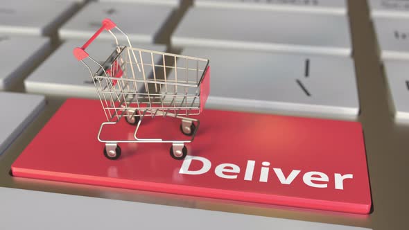 Deliver Text on Keyboard and Boxes with a Vaccine in Shopping Cart