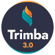 Trimba - Application Forms, Quiz, Poll, Survey & Registration Form Template - ThemeForest Item for Sale