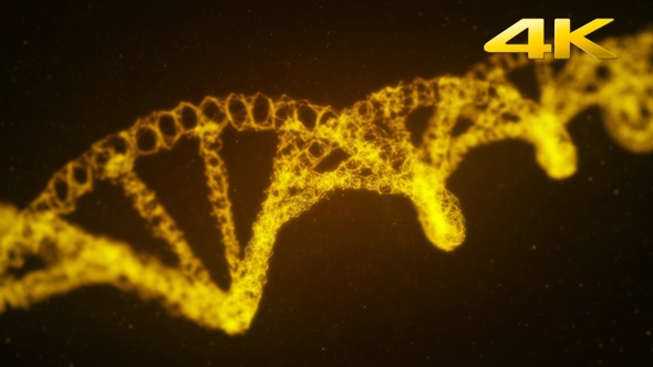 Gold Plexus DNA Background 4K