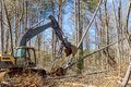 Worker removing trees from forests, preparing ground for building a house, using an excavator - PhotoDune Item for Sale