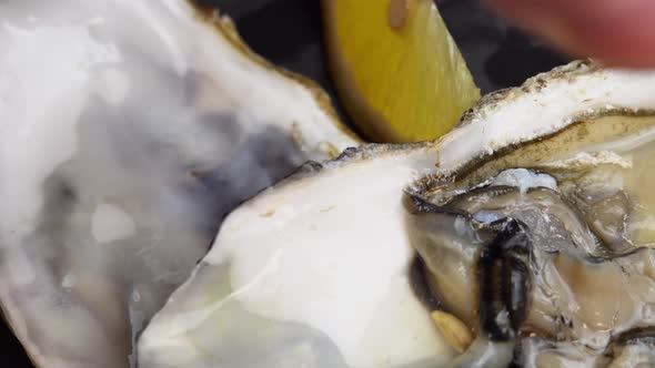 Hand Squeezes a Slice of Lemon Into an Oyster Rotates on a Black Background Seafood Fresh Clam in a