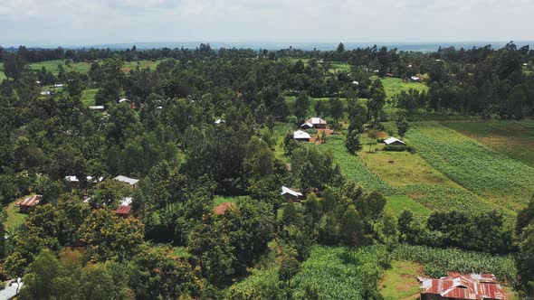 Africa Village And Forest Aerial View