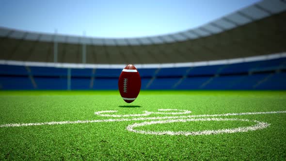 The professional ball in tumbling onthe football field after strong kick.