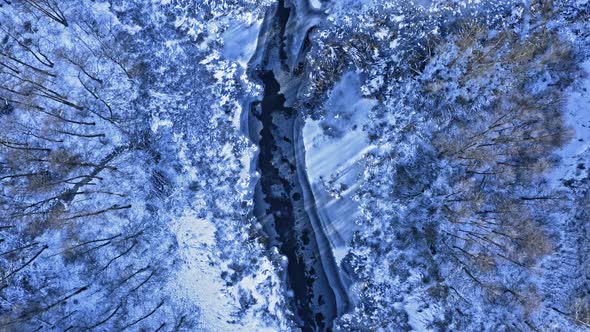 Frozen river and forest. Aerial view of wildlife, Poland