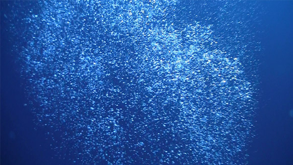 Air Bubbles In The Blue Water 2