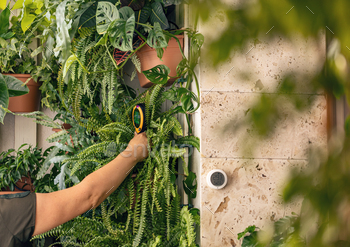 Woman use soil moisture meter
