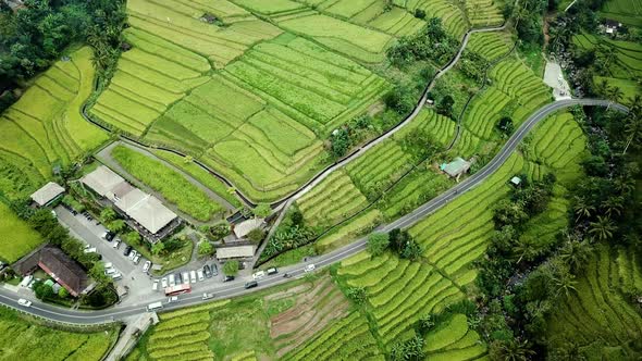 Jatiluwih Rice Plantation in Bali