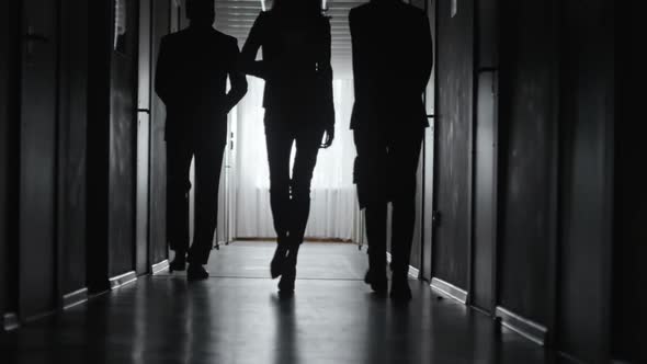 Silhouettes of Businesspeople Walking along Hallway