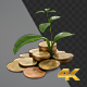 Growing Plant On Coin Piles - VideoHive Item for Sale