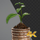 Growing Plant On Stack Of Coins - VideoHive Item for Sale