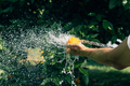 Man hands washes an orange with water from a hose in garden - PhotoDune Item for Sale