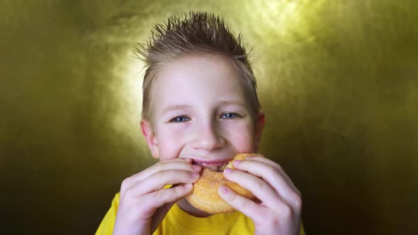 boy eats a donut. cheerful smiling child eats a sweet bun. pretty funny blonde enjoys happiness