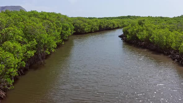 Healthy mangrove forests of Monte Cristi National Park; aerial view