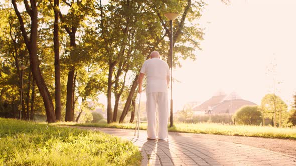 Disabled old man is walking with a walker. Handicapped patient in the park.