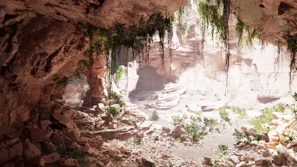 Inside a Limestone Cave with Plants and Sun Shine