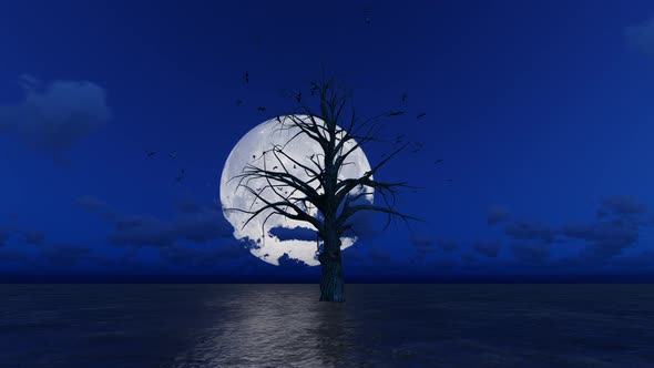 Moon light Night and Ocean Tree